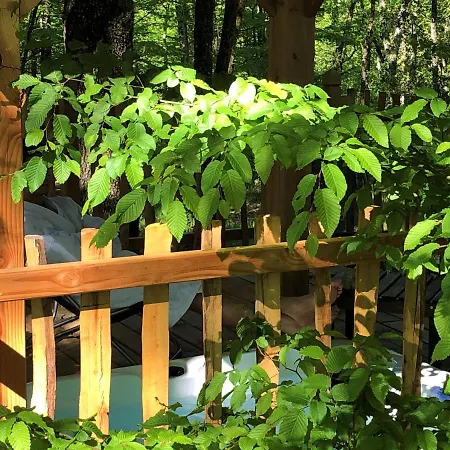 Perchee Dordogne La Ferme De Sirguet